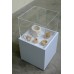 Acrylic Display Box