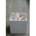 Acrylic Display Box